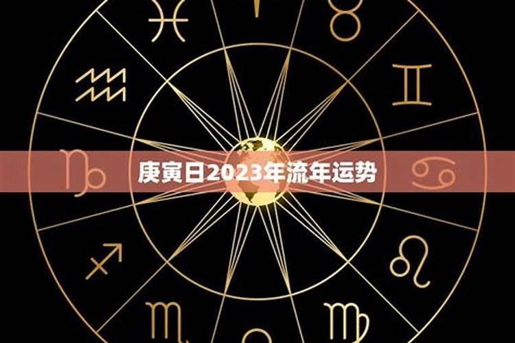 不同年份出生的属猪男女2024年运程