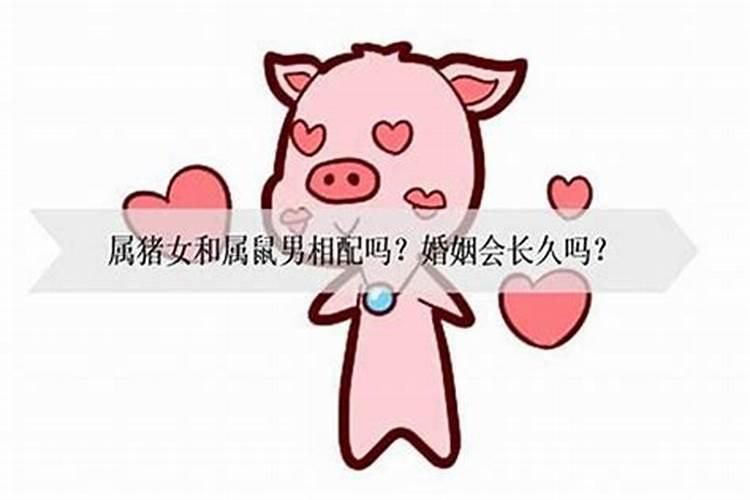 1995年属猪女和1996年属鼠男能婚配吗 95年属猪女和96年属鼠男配吗