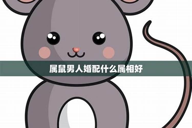 72年的鼠和71年的猪婚姻好吗,72年属鼠男生与71年属猪女生婚姻能长