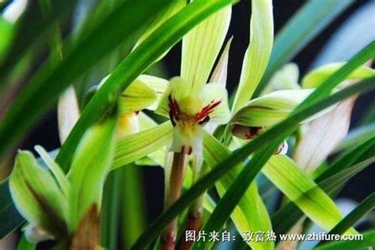 遇到背后给你告状的人,千万别冲动,掌握这5个反击方法就够了