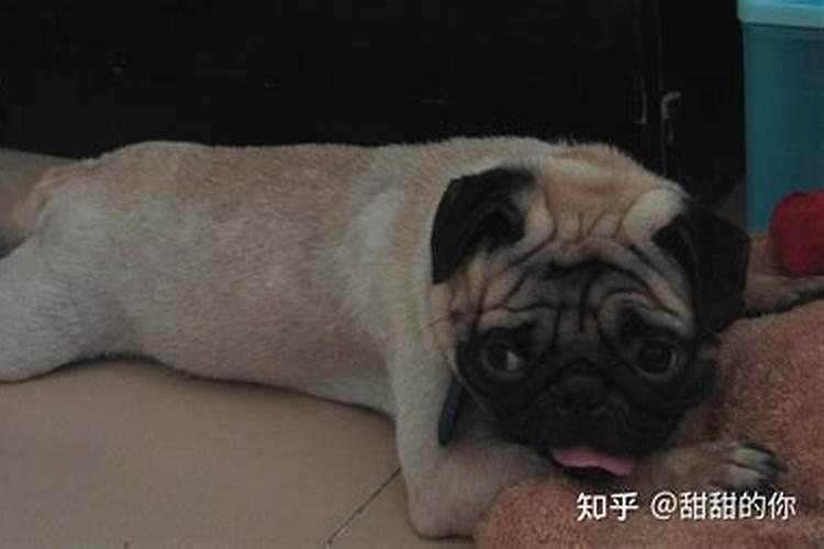 夫妻八字婚配看两人到底合不合适