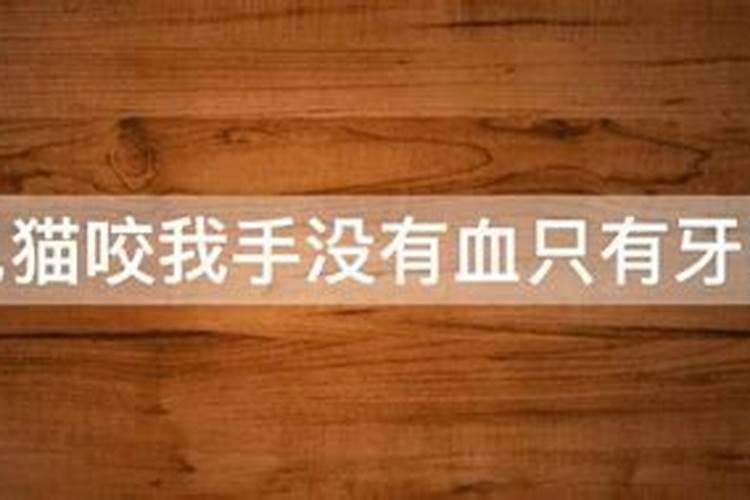 属狗男人和属狗女人相配吗