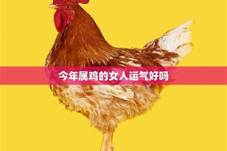 邵阳的风俗有哪些