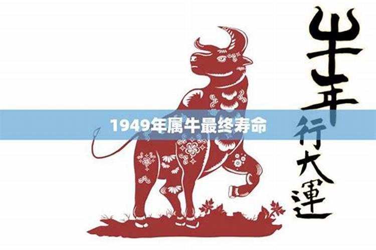 阴阳五行分析1949年出生的人是什么命