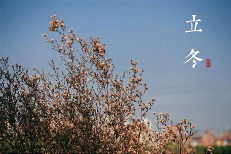 梦见儿子死了又复活的预兆