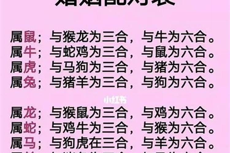 双子男如何追金牛女？