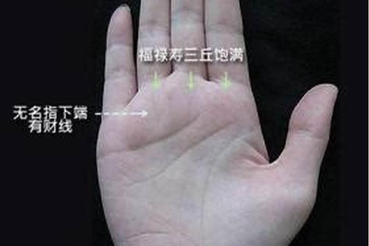 川字掌的女人财运如何 川字掌一生特点
