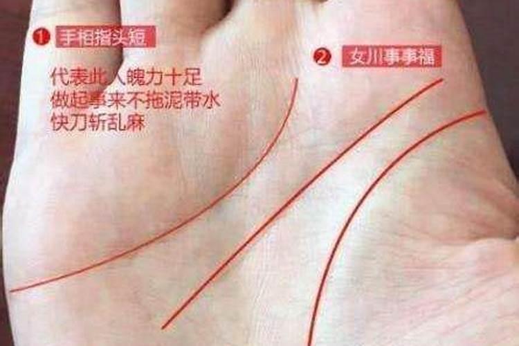 川字掌的女人财运如何 川字掌一生特点