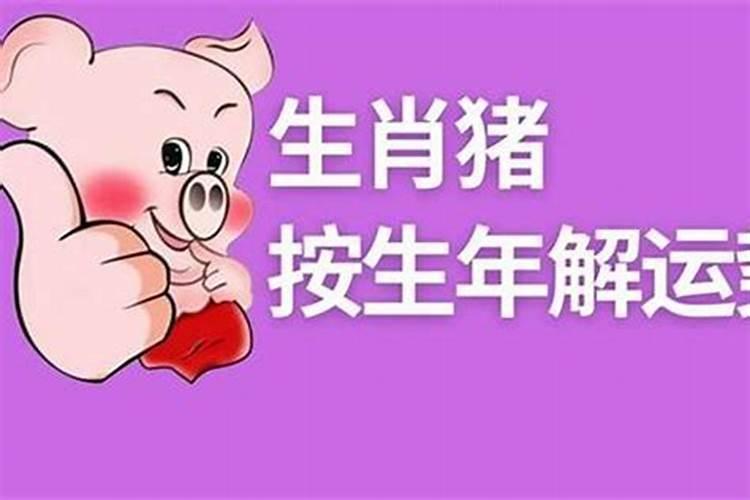 曾经遭受挫折,事业失败,奋发图强后,迎来新希望的生肖有哪些？