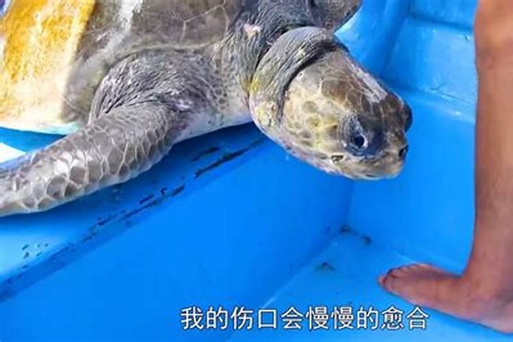 梦见朋友家客厅灯灭了的预兆
