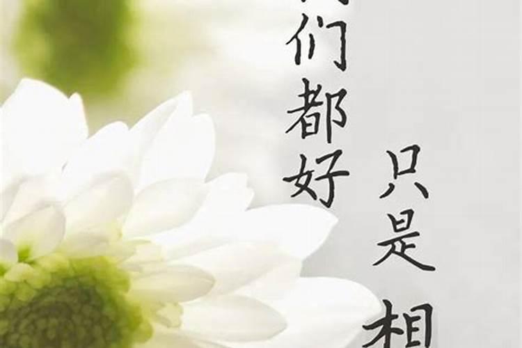 痛失母亲的句子,心痛到极致