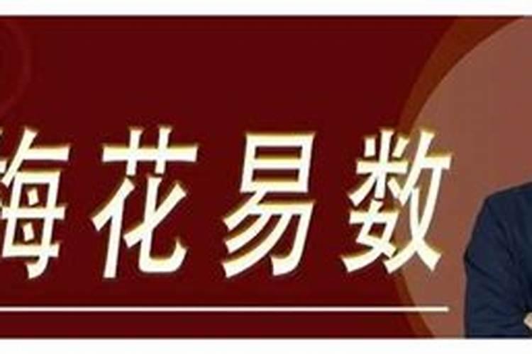 梅花易数刚侧得,地风升卦变水风井卦,问婚姻情感,结果如何,求大神指点...