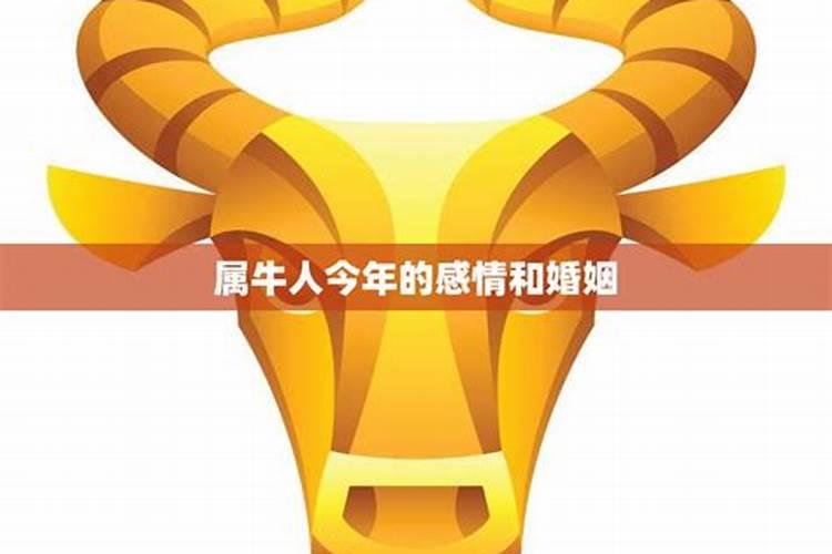 八字如何看婚姻,这个生辰八字怎么看婚姻
