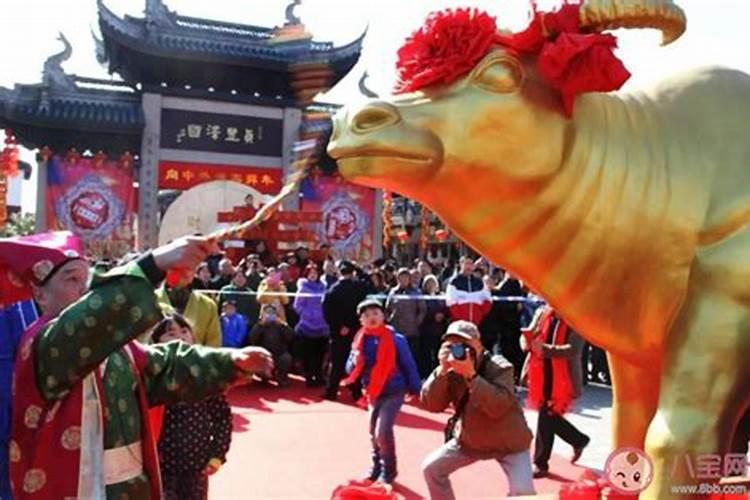 本命年买的红绳丢了怎么办