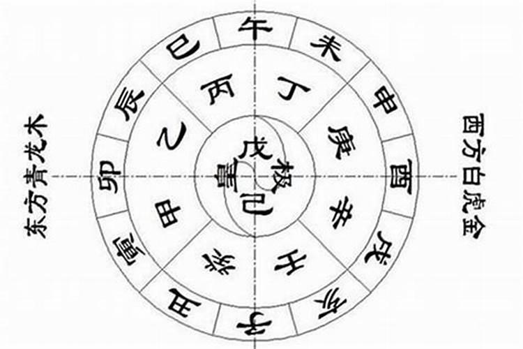 87兔一生的财运运势,1987年12月13女兔的命运