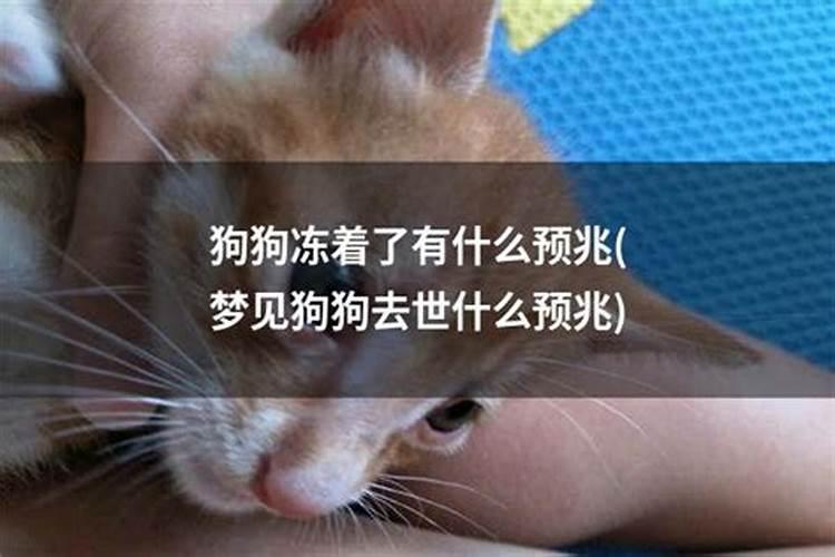 农历十二月十九日是什么日子。