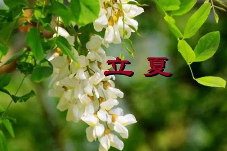 女生属什么生肖最好命 一生无忧不愁吃穿