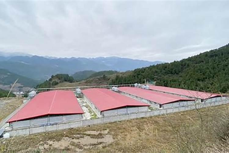本命年可以参加葬礼吗 参加葬礼的注意事项？