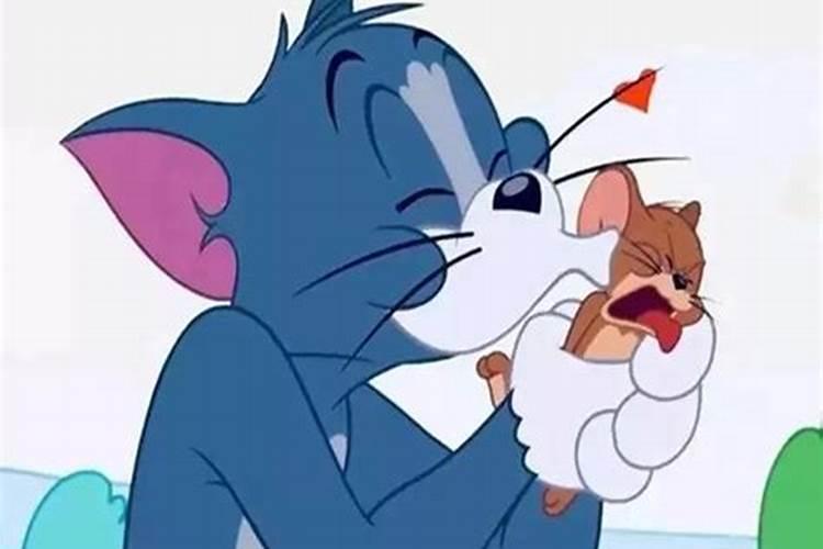 梦见猫和老鼠在一起周公解梦