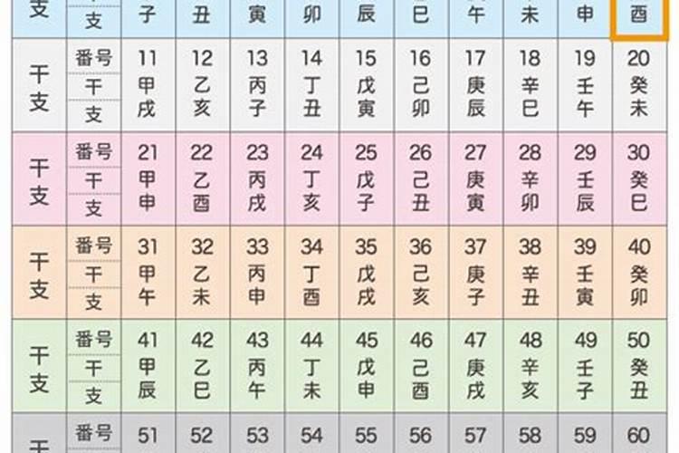 癸丑年乙丑月癸酉日癸亥时,八字运程如何？