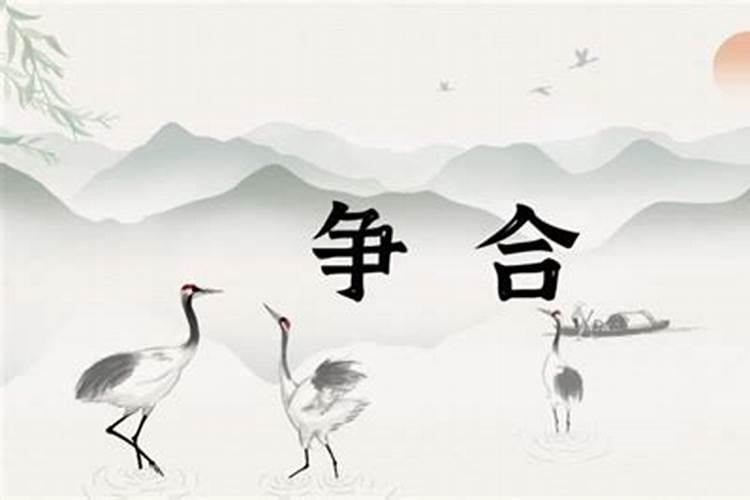 八字中的争合代表什么意思？