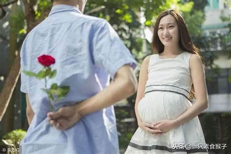 虎在2025年的运势