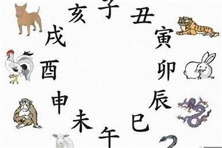 梦见自己暗恋帅厨师的预兆