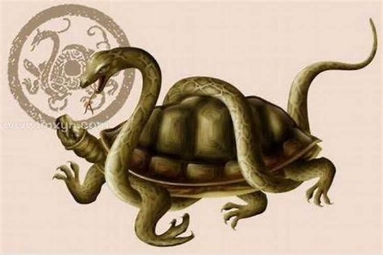梦见蛇和乌龟同时出现是什么意思 梦见蛇和乌龟同时出现有什么预兆