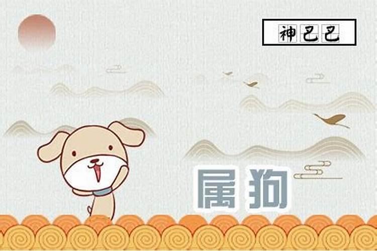 属狗哪一月出生最厉害？