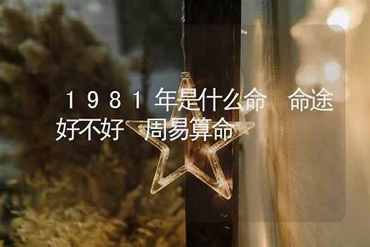 1978年3月15日酉时出生的人五行缺什么