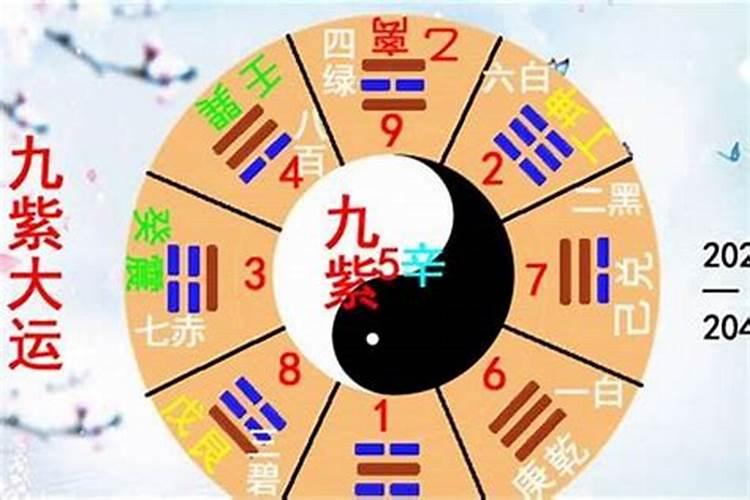 梦见很大的乌龟和自己说话的预兆