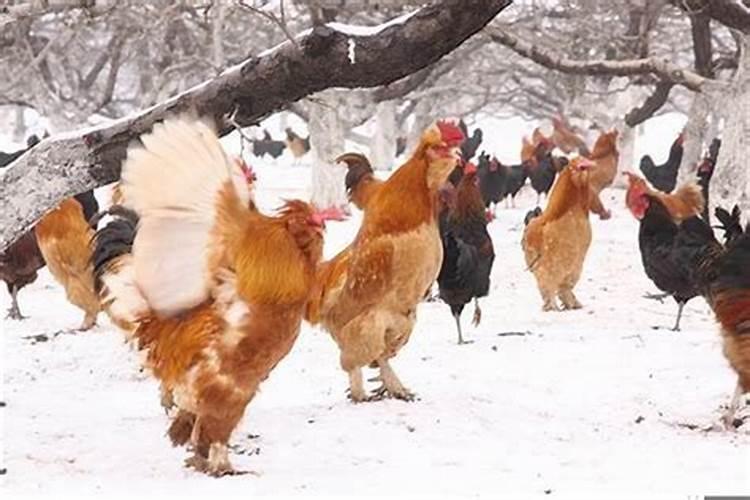 2025年属猴女每月运势