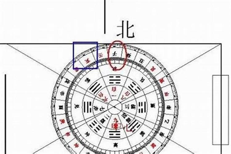 属鼠的在2025年是什么运势