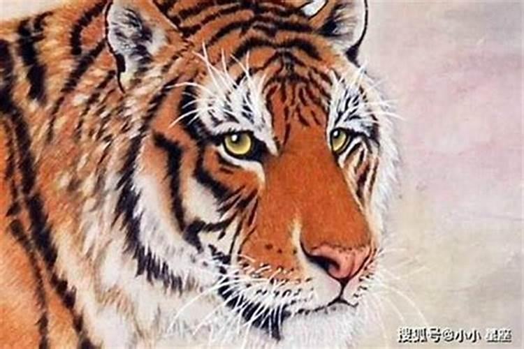 男人八字硬婚姻怎么样 男人八字硬好吗