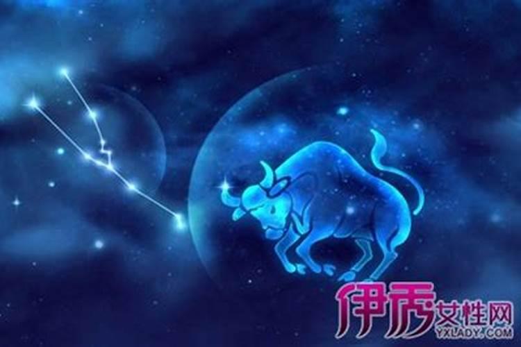 梦见前男友来找我
