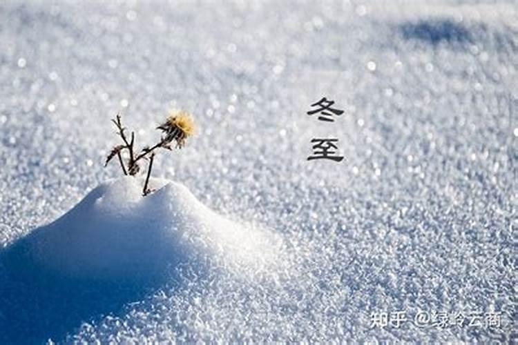 梦见自己带领别人干活