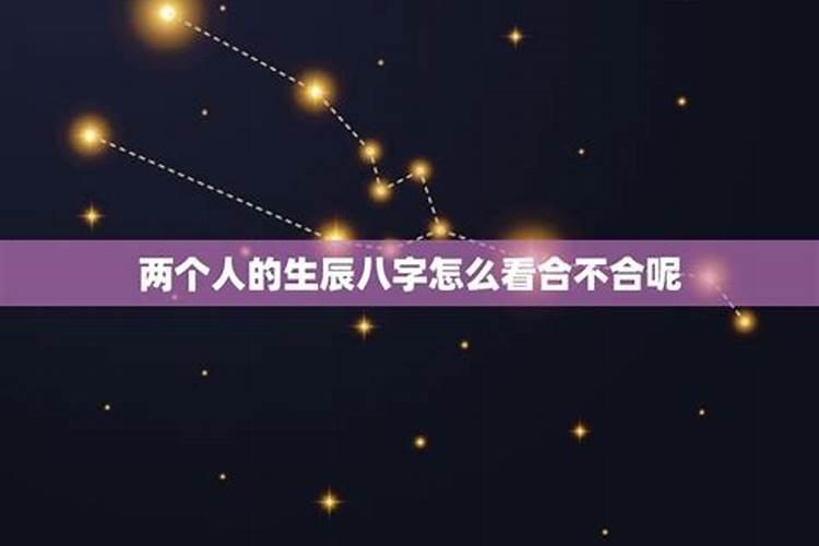 女属狗最佳婚配前十名揭晓