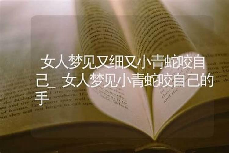 梦到小蛇爬到自己身上预示着什么