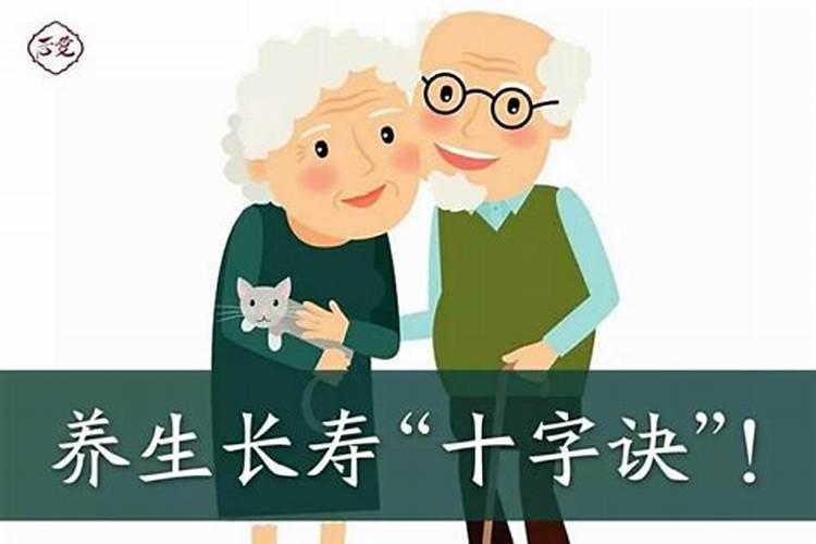 梦见老鼠和猫友好相处的预兆