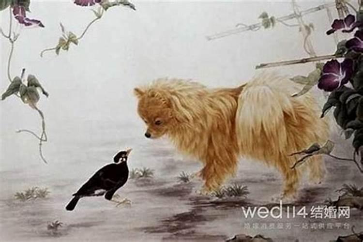 梦见孩子丢了到处寻找很着急
