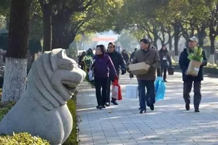 梦见看到大海的预兆