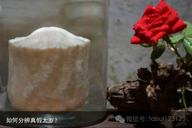 2025腊月初八日子怎么样