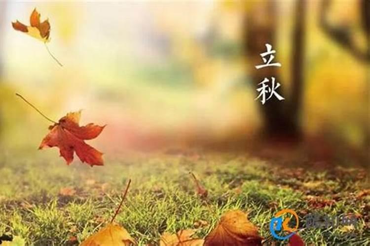 春节期间吉林市晚上在路口能烧纸吗？