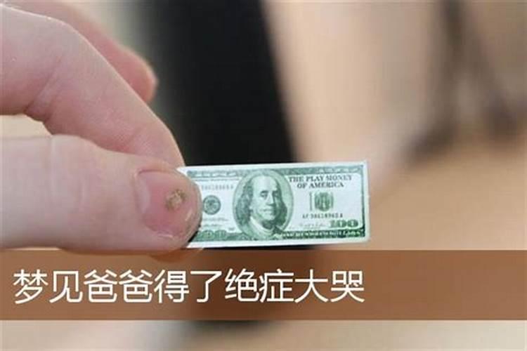 属牛的人和什么属相的人最能和得来呢？