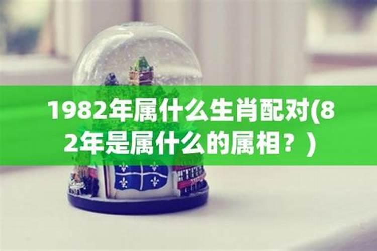 82年是属什么的？属相婚配如何