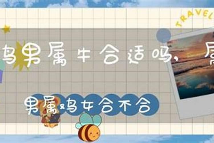 男属猪女属龙相克不 在一起婚配合适吗