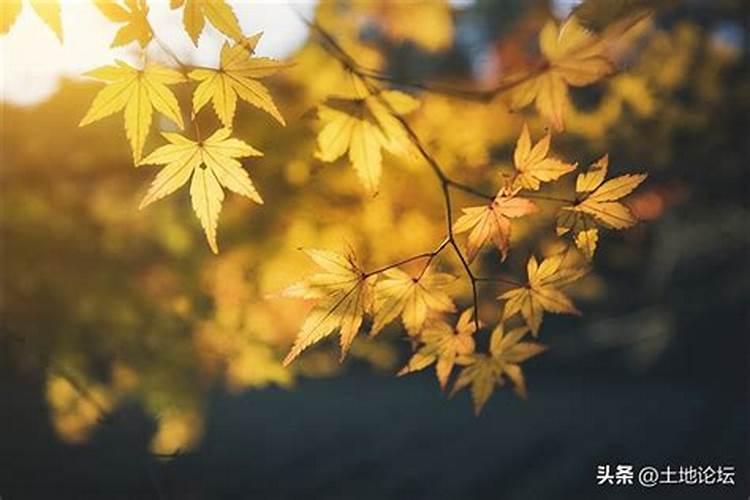 梦见亲人生病住院是什么意思？