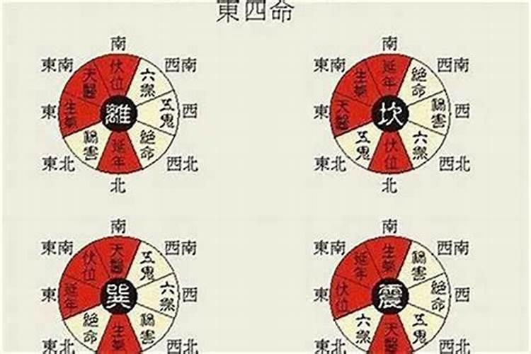 西四命和东四命怎么分辨？