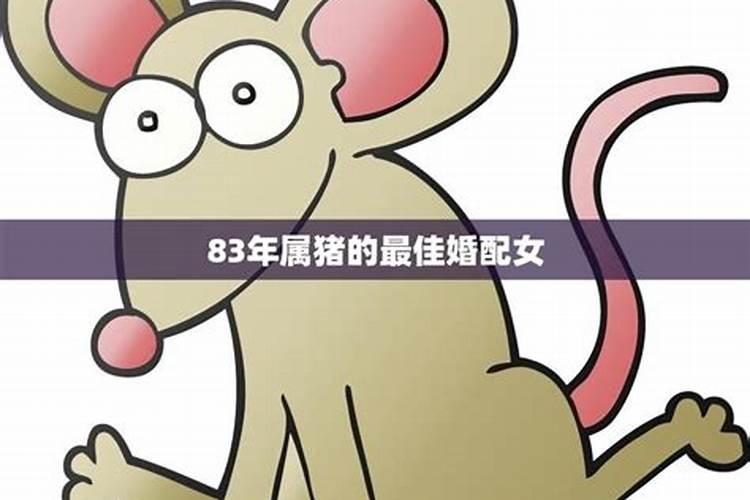 83年属猪女最佳婚配属相