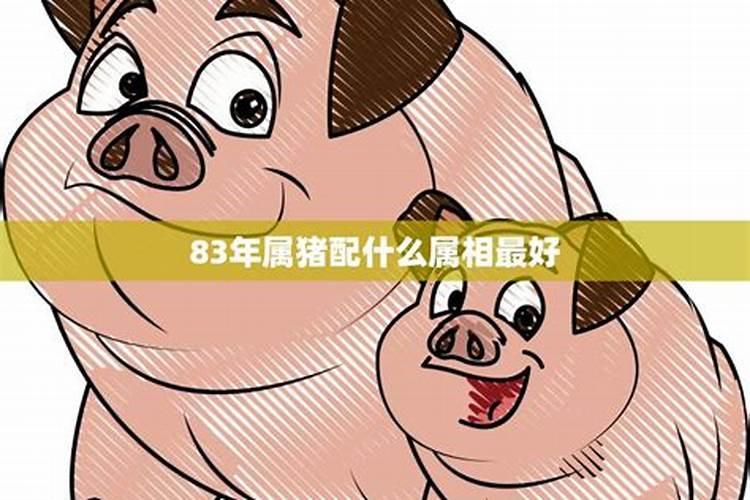83年属猪最佳配偶,83年属猪女一生财运